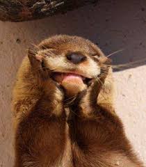 Supercurioso - Las nutrias son de nuestros animales... | Facebook