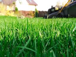 Loam soil is perfect for adding topsoil to your lawn or garden, as it is rich in nutrients and organic matter. Lime Your Lawn When And How To Lime Your Lawn