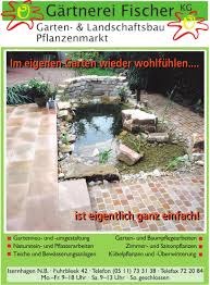 Wir verlegen wege, setzten brunnen und gestalten ihren garten nach wunsch. Rosen Ihr Langer Weg In Unsere Garten Hannover Region Ost Hannoversche Zeitung