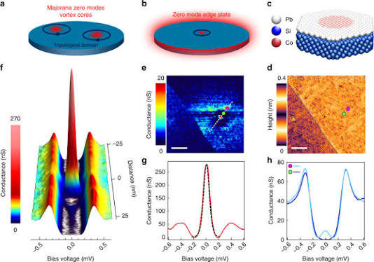 Isolated pairs of Majorana zero modes in a disordered superconducting lead monolayer | Nature Communications