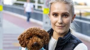 Mapped: Brisbane CBD's speed demons