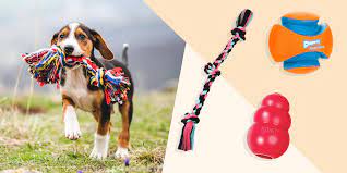We did not find results for: The 16 Best Dog Toys To Entertain Every Type Of Dog In 2021