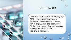 Основы полимеразной цепной реакции (пцр). Pcr Rusha Prezentaciya Onlajn