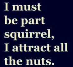 26 Funny Breakup Quotes Ideas Quotes Breakup Quotes Funny Quotes