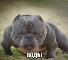 Image result for tbn:ANd9GcSKQ6WZNNgGQRYszRgFbxpr9QGU37z-EFx8LzTd2pp2XVncdrMO4AeJuA