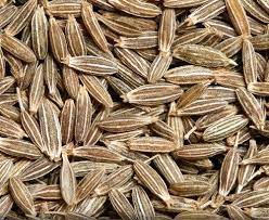 Cumin seeds also contain small amounts of vitamin c, vitamin e, vitamin k, and vitamins b1, b2, b3, and folate. Cumin Seeds At Rs 185 Kilogram à¤¸à¤« à¤¦ à¤œ à¤° Sowef Group Delhi Id 16857433391