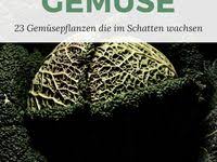 Pin Von Carla Auf Schattengarten In 2020 Bergenie Schattengarten Frauenmantel