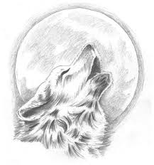 1001 Astuces D Artiste Pour Apprendre A Realiser Un Dessin De Loup Dessin De Loup Dessin Loup Facile Loup Dessin