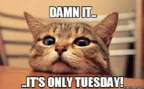 100 Funny Tuesday Memes Pictures Images For Motivation In 2021 Morning Quotes Funny Happy Tuesday Morning Happy Tuesday Quotes