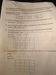 A genetic cross yielding a 9:3:3:1 ratio of offspring. Solved The Following Dihybrid Cross Involves Two Traits I Chegg Com
