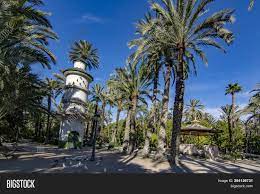 4,561 houses and flats for sale in elche / elx, spain, from 23,999 euros. Elche Alicante Spain Image Photo Free Trial Bigstock