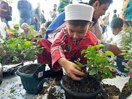Mengenai pengarang umber x adalah wiki, yang bermakud bahawa banyak. Menanam Bunga Jadi Pembuka Yang Menyenangkan Di Hari Pertama Sekolah Kumparan Com