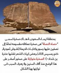 فقط لأنهم أحسنوا الظن حقائق مدهشة Quotations Food Quotes