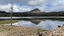 No. UT: ~ Age 50+ Annual Jamboree