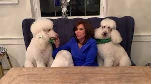 It's time for Cameo - the dogs are all here and ready to be featured in your video so book yours at cameo.com/JudgeJeanine | Judge Jeanine Pirro | Facebook