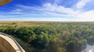 Maybe you would like to learn more about one of these? Everglades National Park U S National Park Service