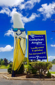 Big Banana Mackay Qld Australia Vacation Australia Queensland