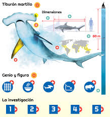We did not find results for: El Universal El Futuro Del Tiburon Martillo