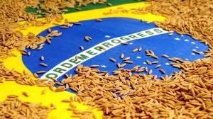 It hurts him as much as it. Mexico Confirma Sete Meses Apos Anuncio Isencao Para Arroz Do Brasil Planeta Arroz