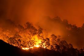 We did not find results for: Windy Conditions Spark Concern For Bc S Wildfires Insurance Business