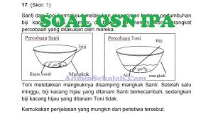 Maybe you would like to learn more about one of these? Download Soal Olimpiade Sains Nasional Osn Ipa Tingkat Sd Dan Pembahasan Admin Sekolah