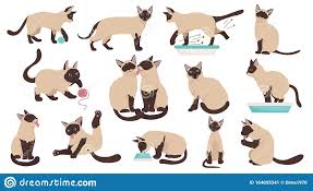 Cartoon Cat Characters Collection Different Cat S Poses Yoga And Emotions Set Flat Color Simple Style Design Cat Character Character Collection Cartoon Cat