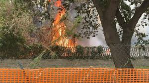 Check spelling or type a new query. Incendio Pescara Trovati Inneschi Dietro C E La Mano Dell Uomo Il Capoluogo