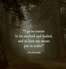 Our deepest fear is not that we are inadequate. 35 Professional Healing Quotes Time Will Heal Time To Heal Quotes