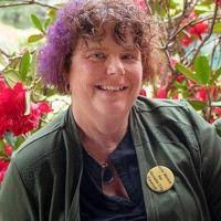 Early returns show Nevada City council members keeping seats; one  challenger close behind