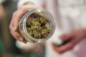 Also, there are cbd products that don't cause. Changes Coming To Colorado Marijuana In 2020 Westword