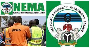 National emergency management agency (nigeria). Appointment Of Avm Muhammadu Alhaji Muhammed Rtd As New Dg Of Nema Federal Ministry Of Information And Culture