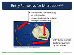 Catheter Care And Maintenance Agency For Health Research