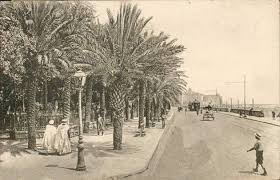 Alger Le Square Bresson Baptise Officiellement Square De La Repuplique Puis Square Aristide Briand Il A Souvent Change De Nom En 2020 Arbre Exotique Verdure Alger