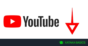 No hay opciones de descargar los artículos. Como Descargar Videos De Youtube En Tu Ordenador