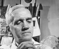 Lives of the First World War