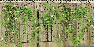 Check spelling or type a new query. Metal Garden Trellis Keep Vine Plants Flowers Off The Ground