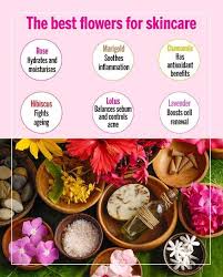 Start with as much glycerin as you. Flowers And Their Skincare Benefits Femina In