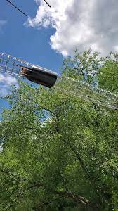 Expert recommended top 3 pest control companies in fort wayne, indiana. Advanced Wildlife And Pest Control Home Facebook