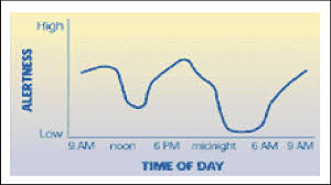 A Graph Showing An Alertness Circadian Rhythm Download