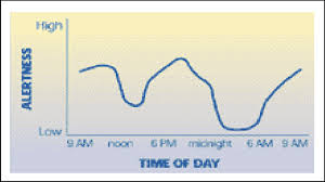 a graph showing an alertness circadian rhythm download