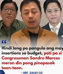 Although the P100 billion in alleged bicameral insertions detailed by  resigned congressman Zaldy Co is true, the claim that President Marcos  ordered the additions in return for kickbacks was “absolutely untrue,”  according