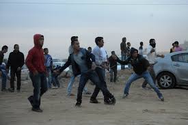 Image result for forum coexistence negev