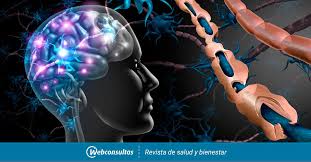 Incluye iconos como neurológico, neurólogo, cerebro, sistema nervioso, nervios y más. Una Nueva Terapia Puede Mejorar El Tratamiento De Esclerosis Multiple