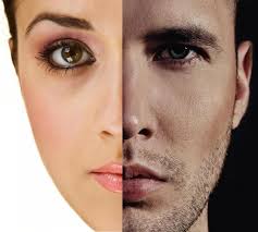 Fungsi dapat mengidentifikasi buku memudahkan dalam mencari kategori buku yang dibutuhkan. Ciri Ciri Dan Maksud Kepada Nikita Yang