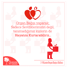 Organ Bagisi Yaparak Sadece Sevdiklerimizin Degil Tanimadigimiz Kisilerin De Hayatini Kurtarabiliriz Bircok Hasta Bagislanmis Bir Or Gercekler Biyoloji Okul