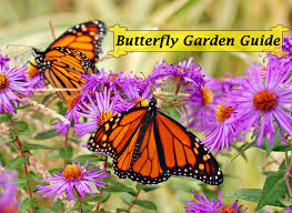 Protect endangered species, including the monarch butterfly, at world wildlife fund. Monarch Butterfly Garden Book Instant Download