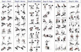 5 Day Workout Routine Gym Workout Chart Workout Routine