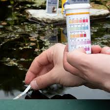 Sep 09, 2013 · nitrification is the most common way to biologically remove ammonia in wastewater lagoons. How To Treat High Nitrite In A Pond Pond Aquarium Problem Solver