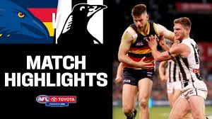 Adelaide crows adel collingwood coll. Adelaide V Collingwood Highlights Round 22 2019 Afl Youtube