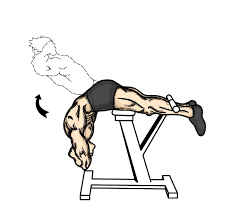 Learn how to increase lower back strength. Strengthening The Lower Back Muscles Blue Lake Crossfit Mount Gambier